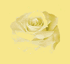 rose12.gif (3951 bytes)