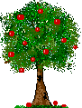 apltree.gif (3499 bytes)