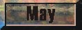 May Collector's Spotlight