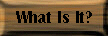 What Is It?